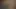 Koca kamera adam olmayı seviyor