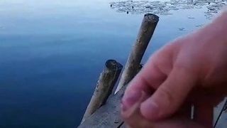 Orilla del lago