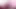Very Hot Pink Lady
