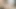 Blonde Trans Jamie French Takes Bikini Roommate Bareback