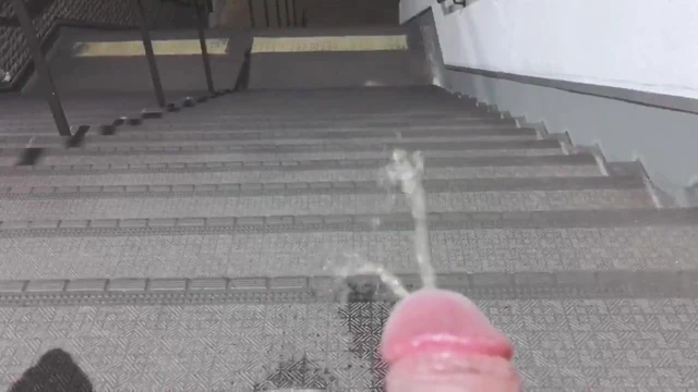 Japanese crossdresser masturbated and piss in public