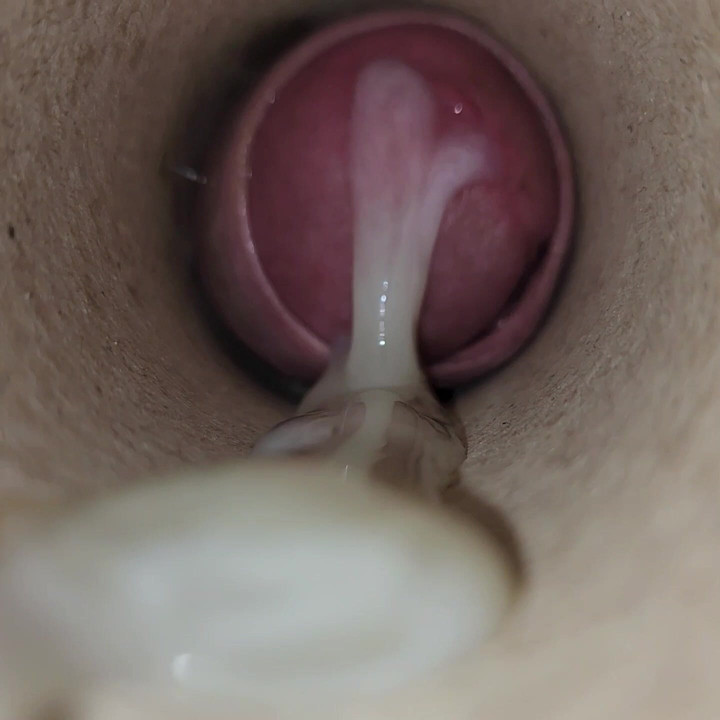 Cumshot in public toilet paper holder