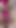 Schlüsselmoment von "Deutsche BBW mit Nippelklemmen masturbiert mit zwei Spielsachen bis zum orgasmus"