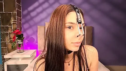 Hidung babi arpone