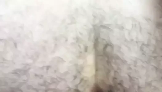lanet bir ayı baba