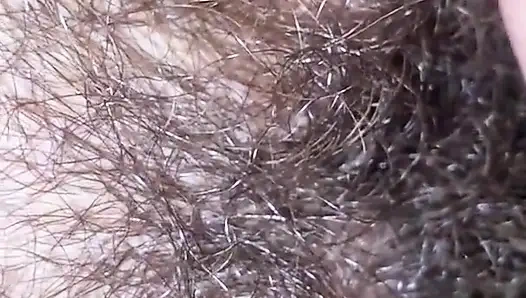 Haarige muschi in nahaufnahme