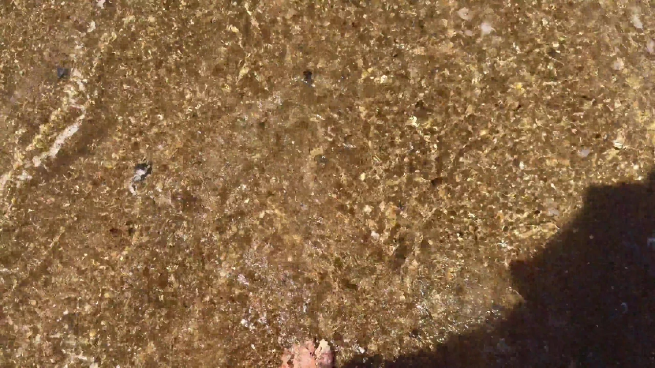 We Travel to the Beach of San Luis