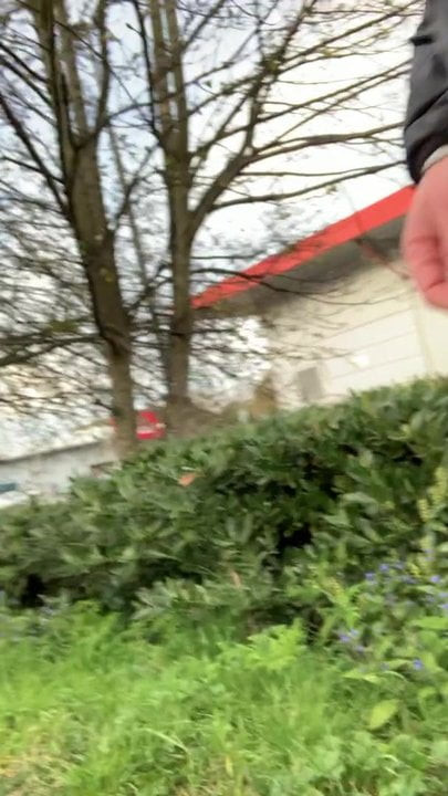 Outdoor Walking Shows Dick