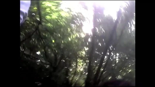 Nel Bosco