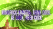 Pregled videozapisa