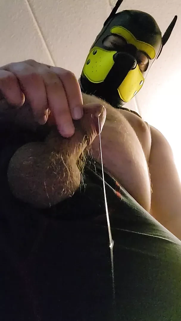 cumdrippingpup leaks ropes of precum in hotel room