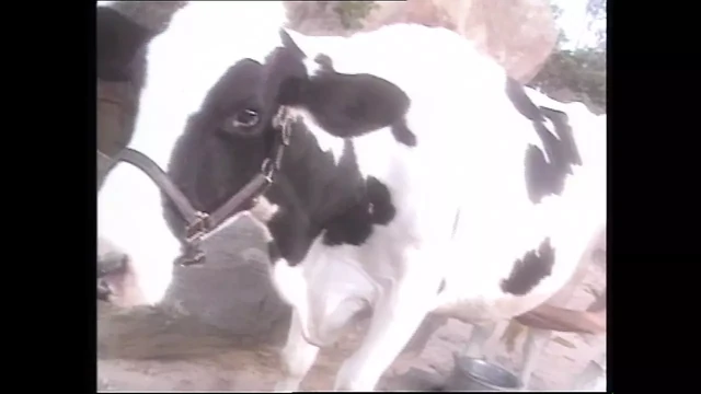 Gottinnen Der Lust 2 - Episode 1
