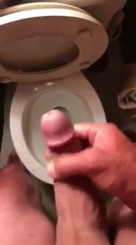 american step dad