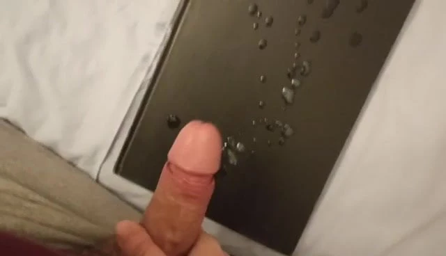 Tribute # 101