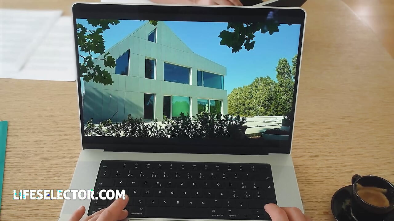 เกมเจรจากับ Alexis Crystal และ Lily Blossom