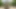 Complication huge trans cock Fucking still 18 year old boy