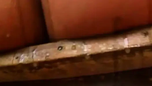 Amsterdamlı sarışınların vahşi gecesi