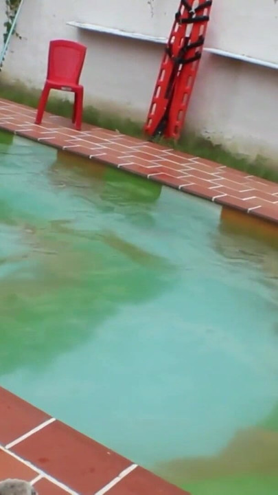 Surprise fuck in the pool with the neighbor when she thought she was alone! | Clip 1