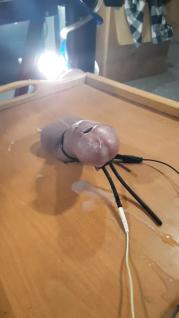 Cock milked on a dinner tray