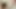 レズビアン起き おはよう アヌークとのシッソ動画