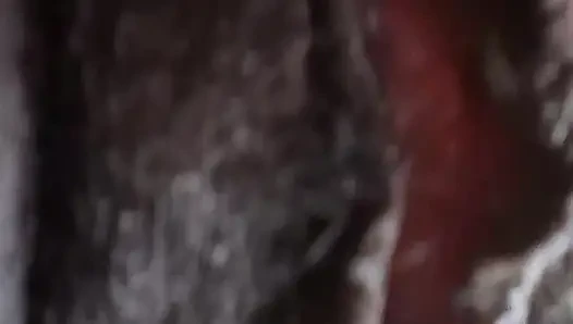 German fat hairy black pussy closeups