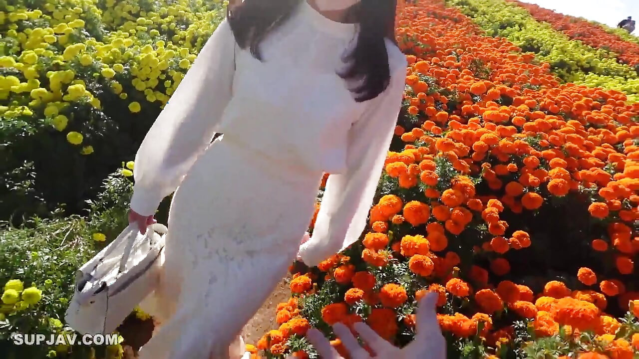 Asian Angel 16811