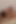 Mamou with Porn Star Barbara Perez Part 2