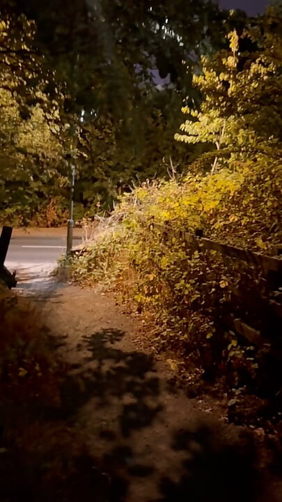 Strip naked and put fishnet body stocking on , walk around wanking at roadside and caught whilst getting naked