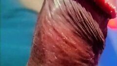 Anjali Arora vídeo viral mms desi grande pênis piscando