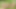 GenLez - Connie Smith and Victoria Puppy Go on Lesbian Picnic