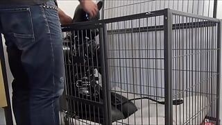 Breath Control of Female Pet in Cage