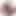 私のチンコと睾丸