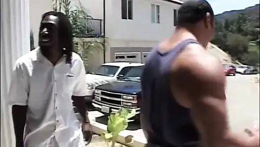 Schwarzer schwanz, dreier in sexy weißer, zierlicher ... doppelt penetriertes arschficken