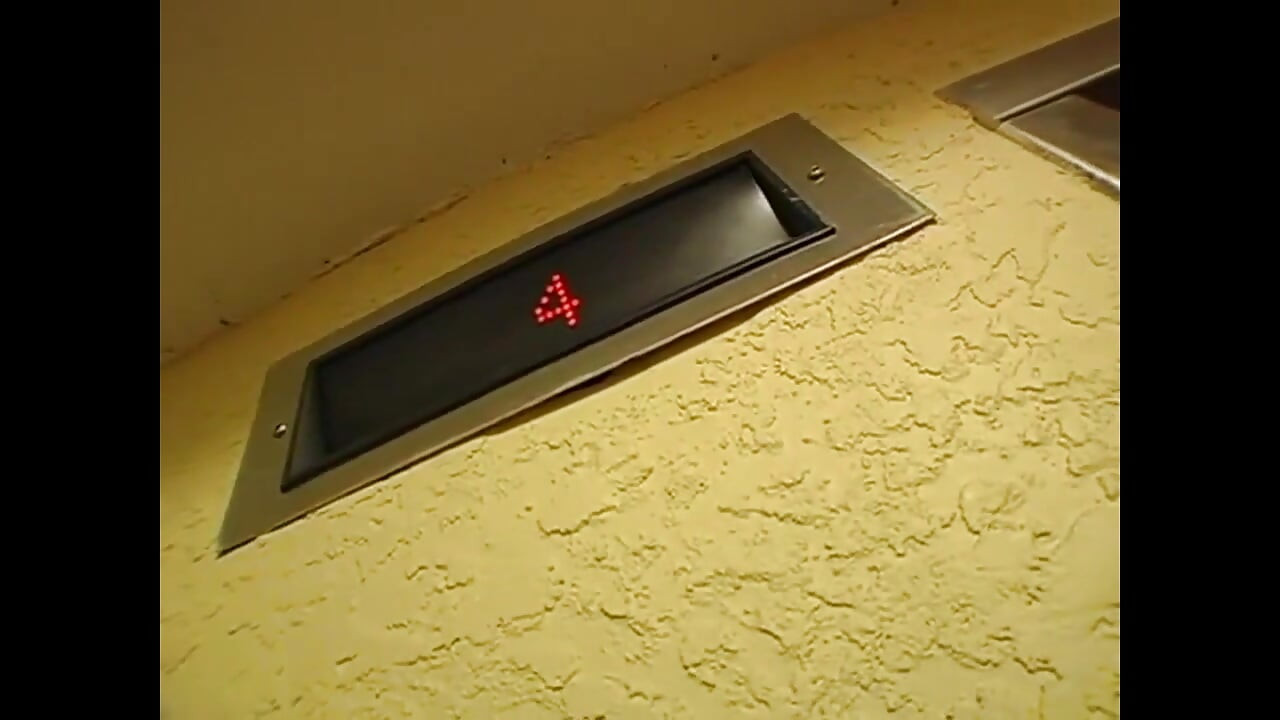 Amateurin mit vollbusig