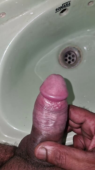 Indian cock