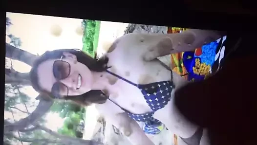 Bassylady haraç