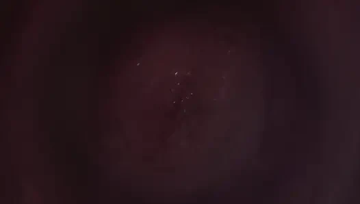 B025 Asian Beauty Tentacbondage Slave Face Sitting, Farting, Anal Licking