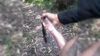 Pompowanie i głaskanie mojego napalonego dużego kutasa w lesie na kik