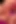 Leo Cross ve Lora Cross ve Mars bir sexwrestle bonus ceza turu da dahil olmak üzere