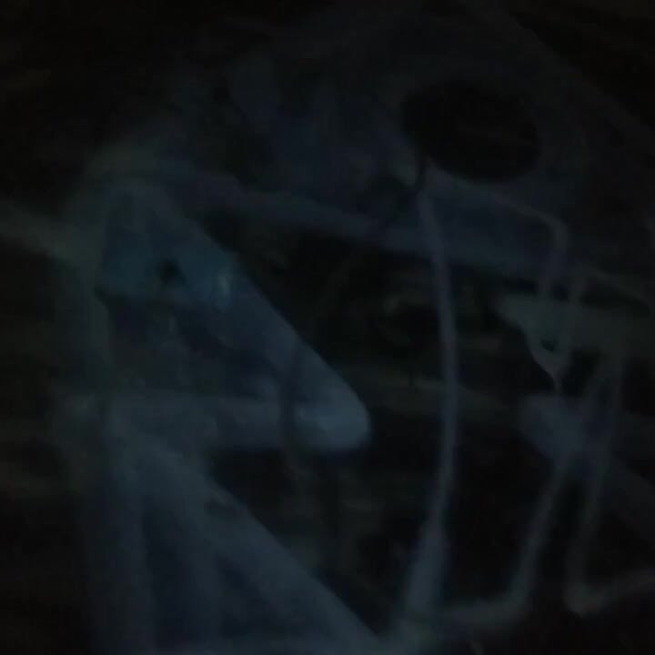 Di lorong yang memberi saya keras