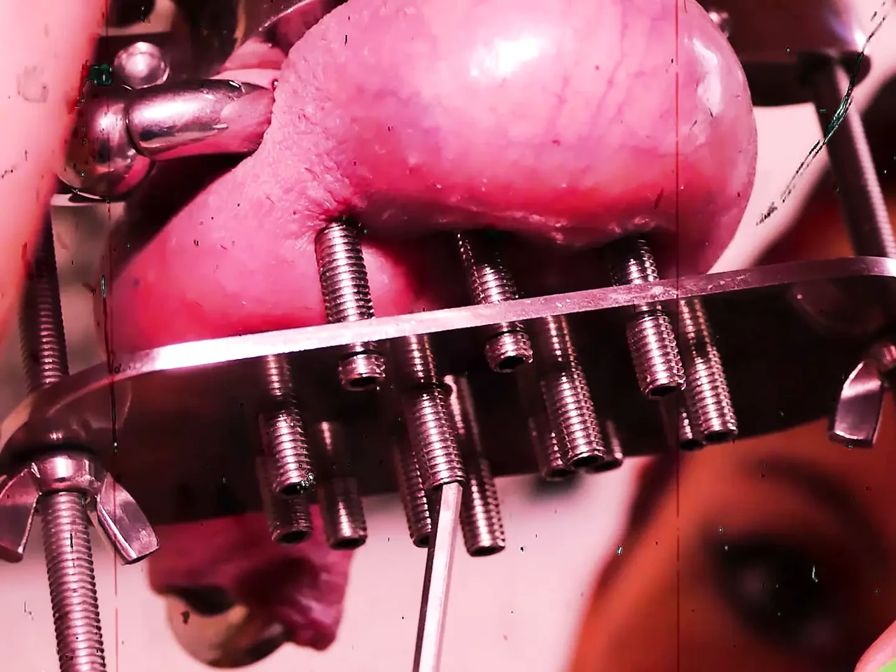 CBT extreme! Medioeval instruments for cock! Lady Morgana cages Slave F's cock without mercy!
