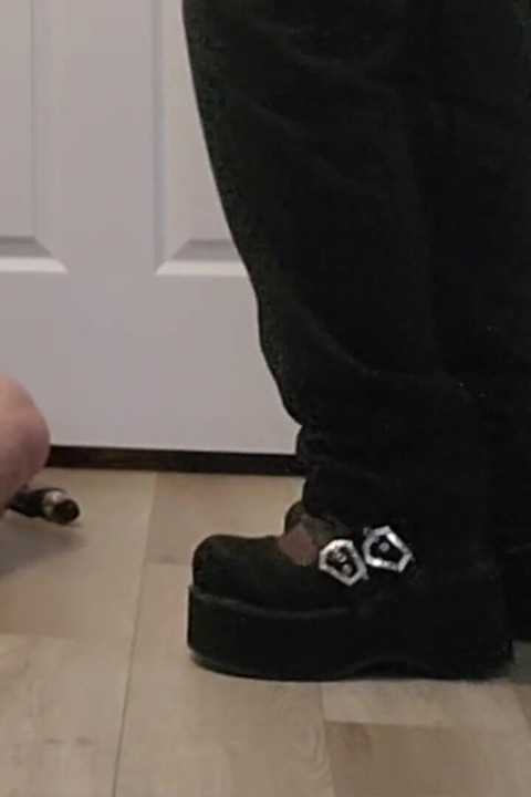 CBT All Shoe Wardrobe