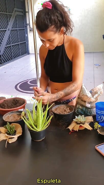 La vida diaria de una sexy - arreglando sus plantas