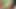 Tiny4K - Dillion Harper fingers herself and cums hard