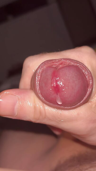 I take advantage of my wife's absence to touch myself while thinking of her beautiful juicy