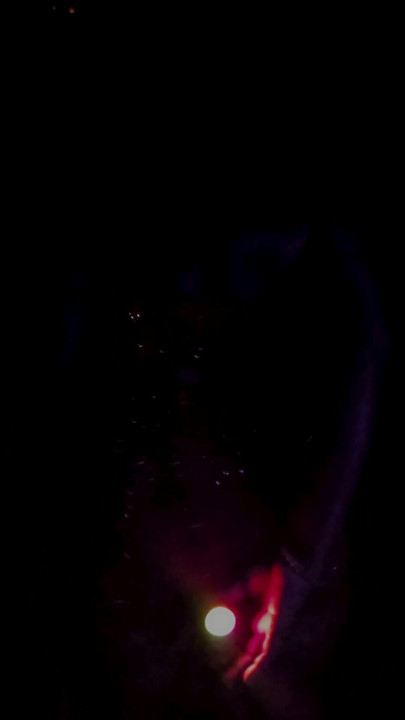 Rød Firefly Nilmini Sheron sosial kortfilm