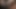 Secretdreamsfuta Intense Hard Sex Hot Riding Tasty Hard Sex Sweet Hot Ass Fucked Intense Pleasure Buttocks Thirsty for Cock