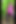 TS Lilly Sophie Cumshot Compilation 2025-05