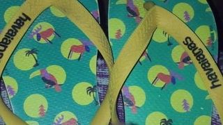 Havaianas x meias felizes