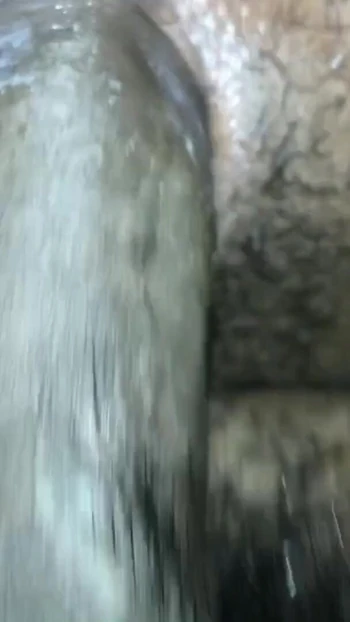 Stunning moment from "Indian Bhabhi New Sex With Her Debor Full Night Full Time Full Sex"